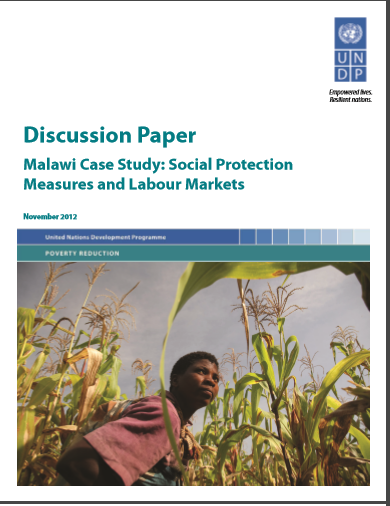 Discussion Paper Malawi Case Study: Social Protection Measures and Labour Markets November 2012                                                    Innovative Financing for Development: A New Model for